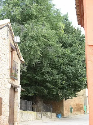 LA RECONQUISTA DE CAMAÑAS (SIGLO XII. CAMAÑAS)