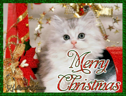 Art Cat GIF • Merry Christmas to all Cat Lovers 2-3 Art Cat GIF • Merry Christmas to all Cat Lovers 2-3