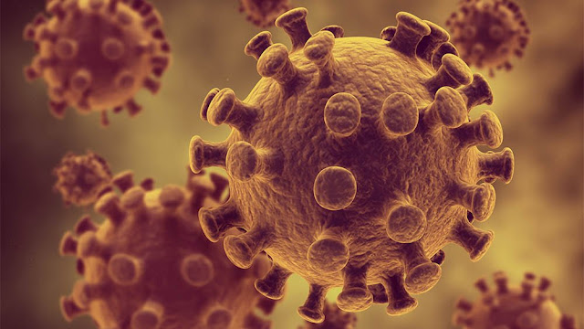 Sobe para 13 número de casos confirmados do coronavírus na Bahia