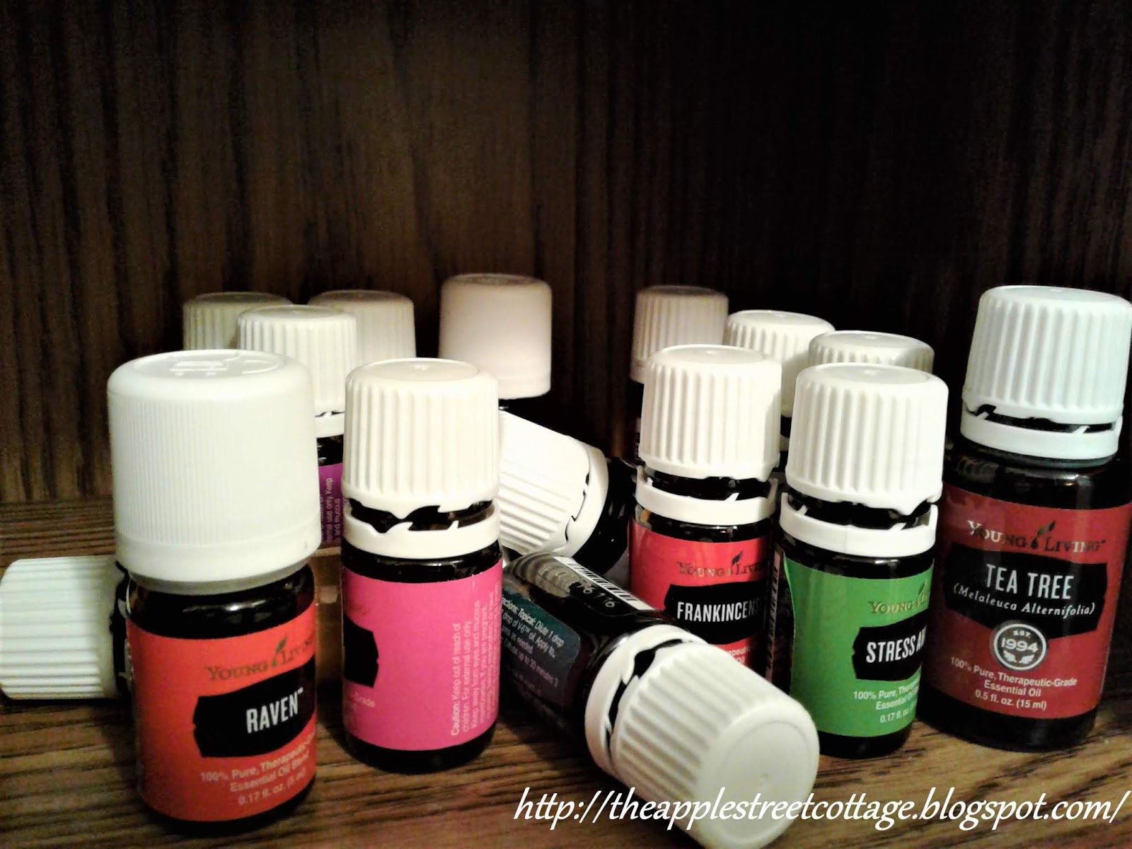 Organizing Your Essential Oils