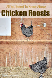 chicken chickens roosts need roost know farm hill coop toe cobble keeping lifeatcobblehillfarm roosting building punch trees chart simple natural