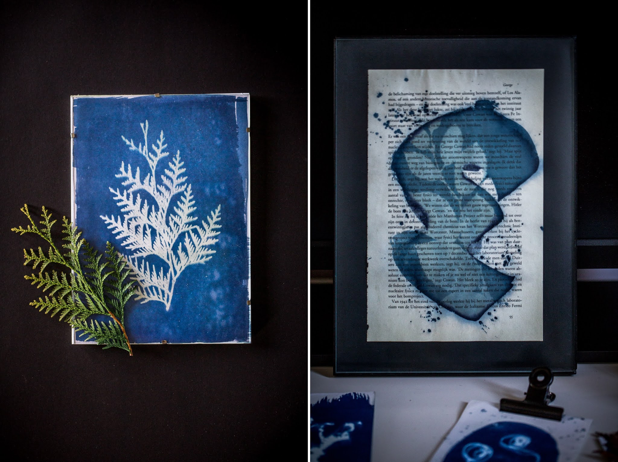 Cyanotype или Магията на Синият Принт