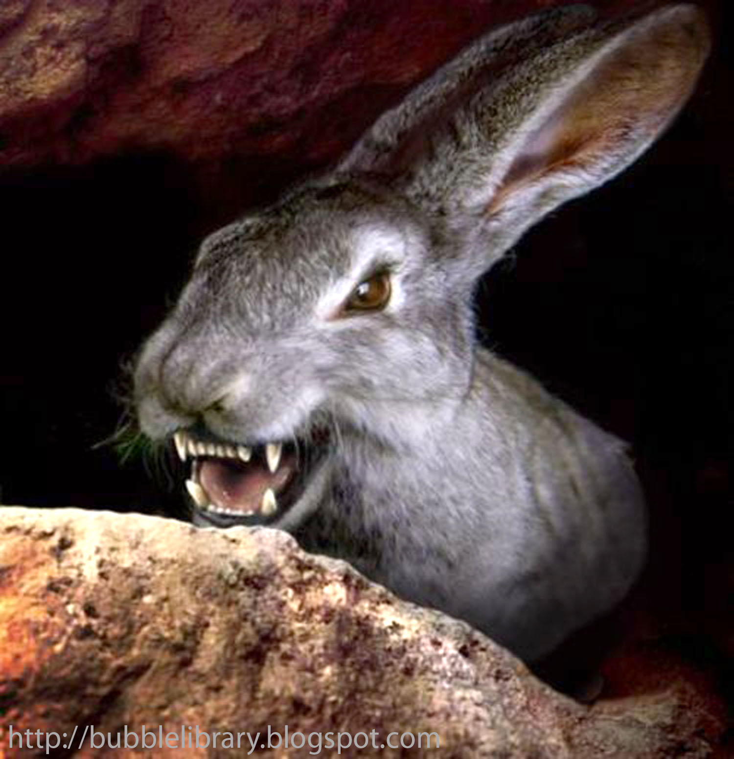 B u B b L e L i B R A R Y Why were rabbits such a menace in Australia?