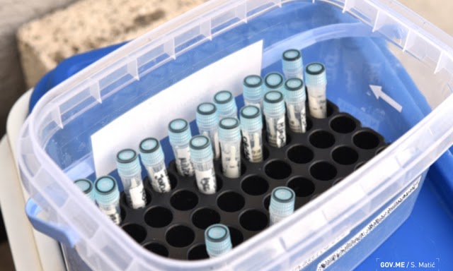Raste broj zaraženih koronavirusom u Plavu: Danas registrovano pet novih slučajeva