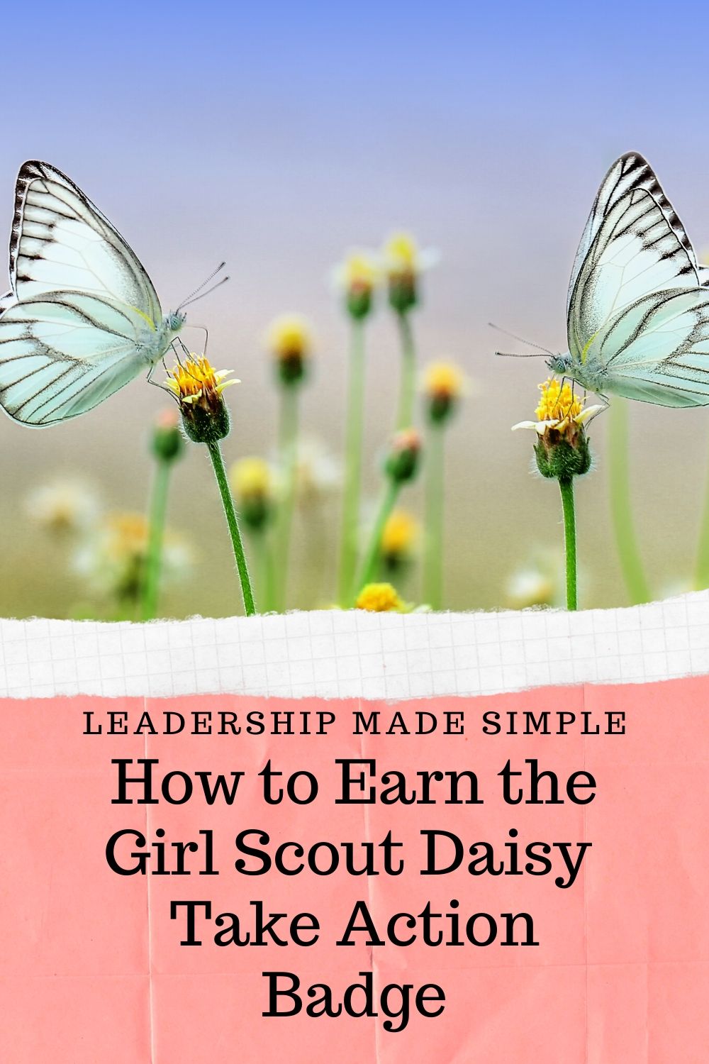 daisy outdoor journey take action project ideas