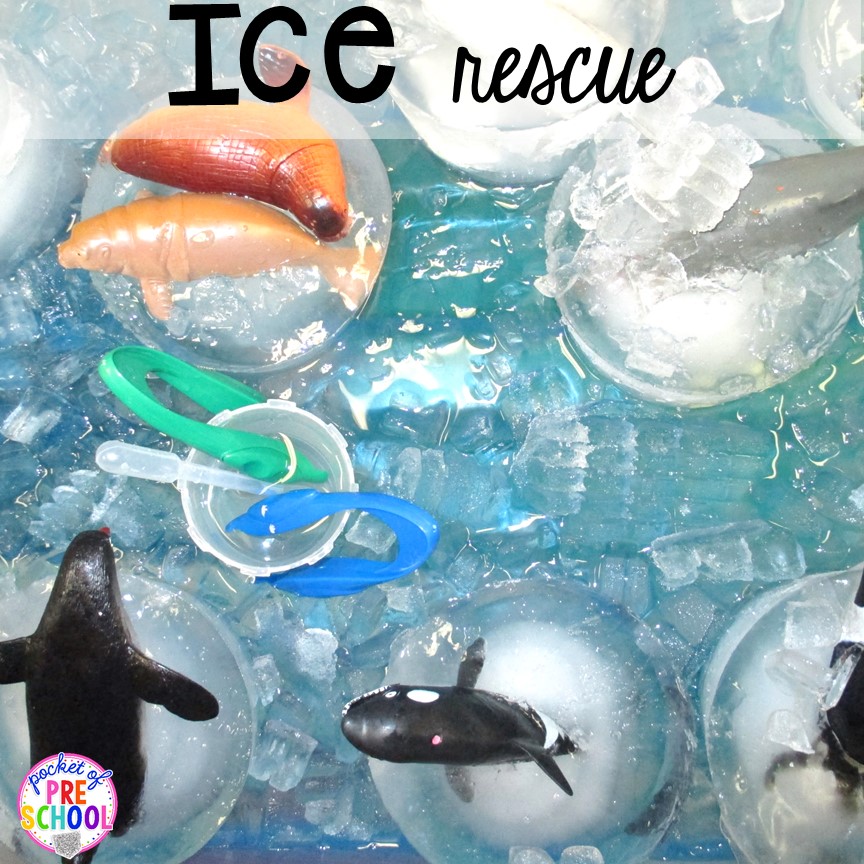 arctic-ice-activities-and-experiments-polar-animals-preschool-winter