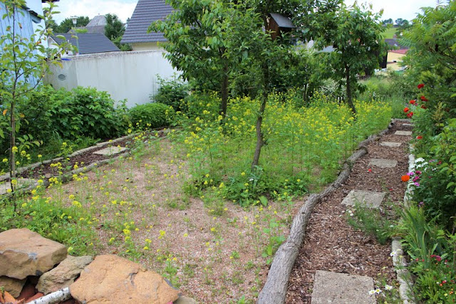 Wildes Gartenglück Wildblumenwiese