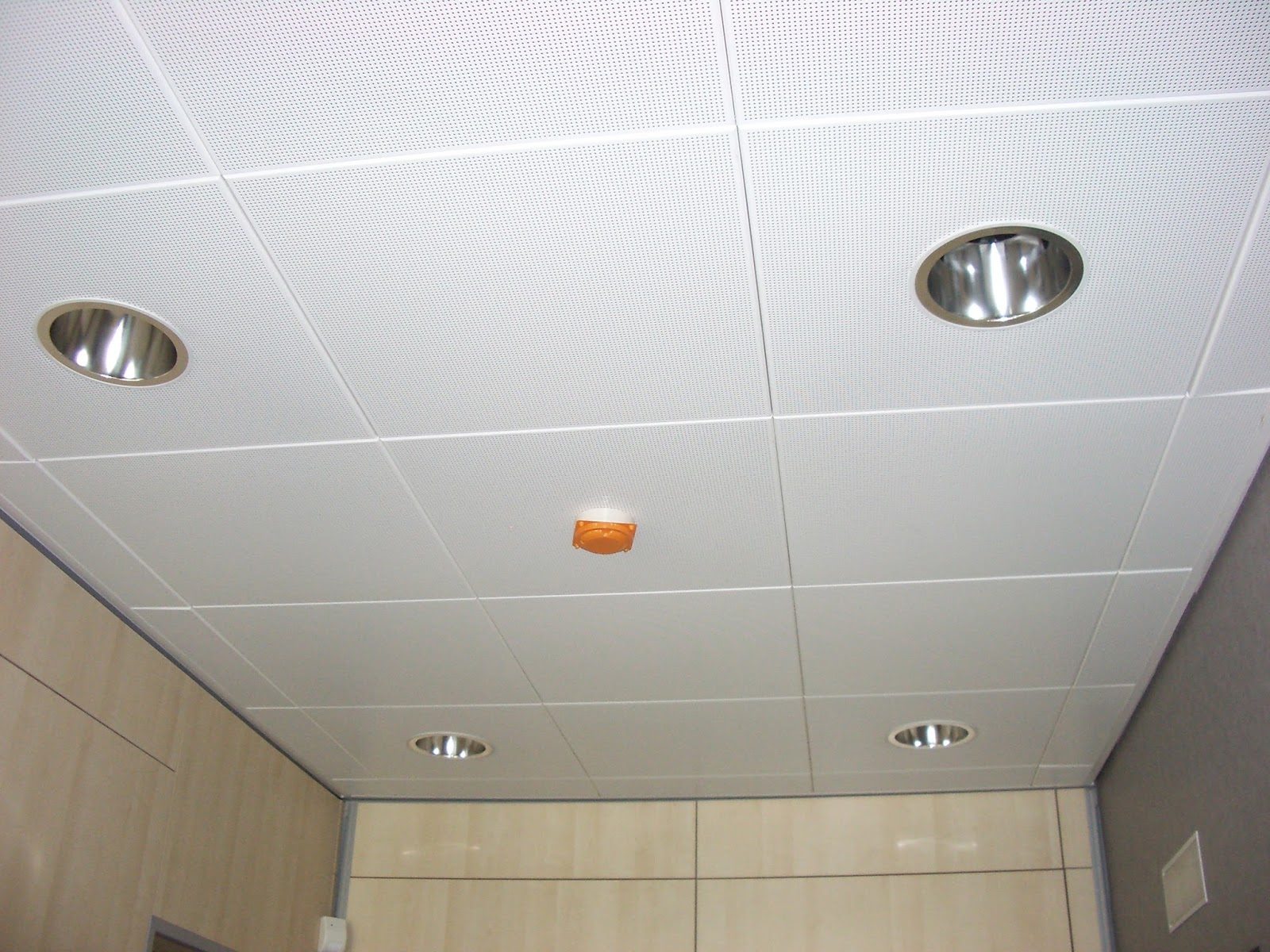 Lighting designer. Iluminación y arquitectura: Techo metálico de acero