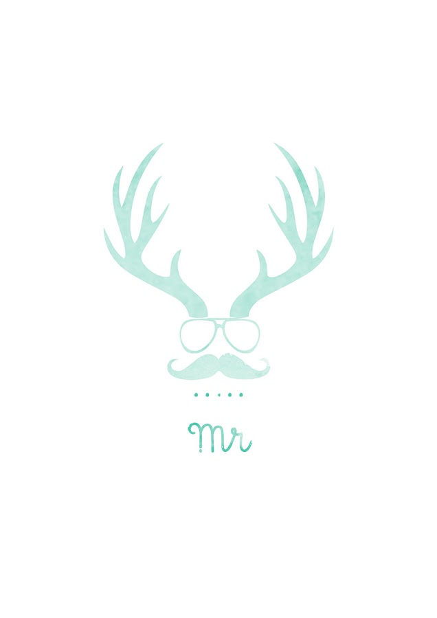 laminas-nuevas-tienda