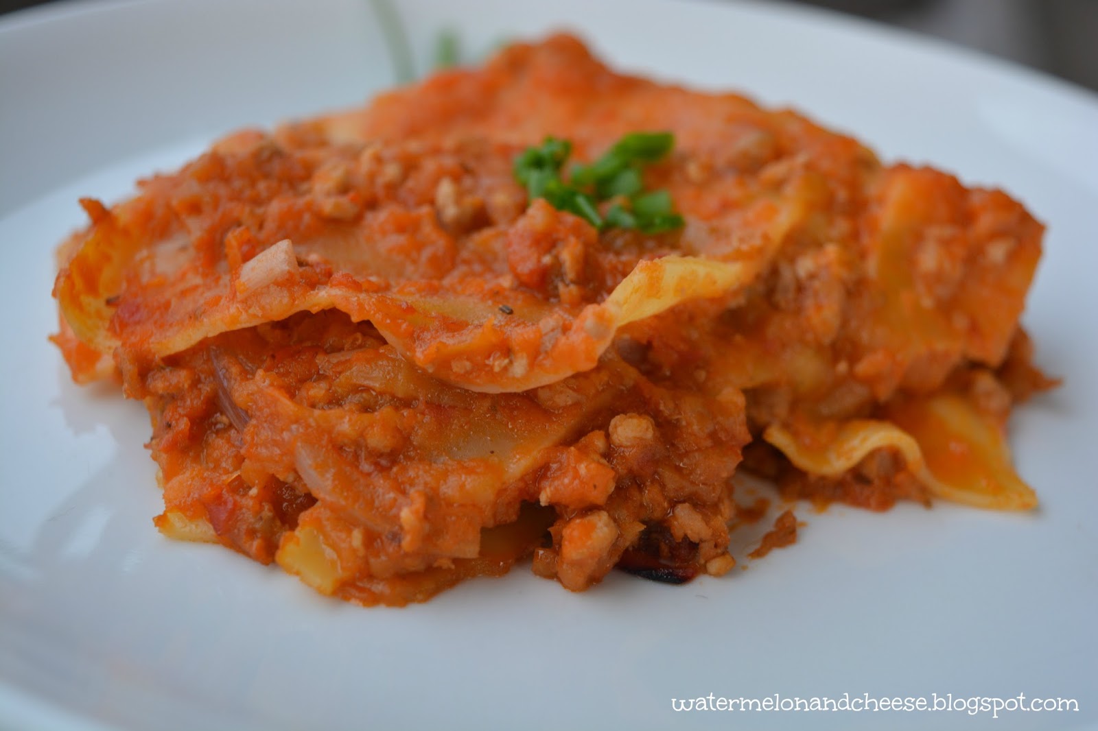 What's in my rice cooker? Lasagna Watermelon and Cheese