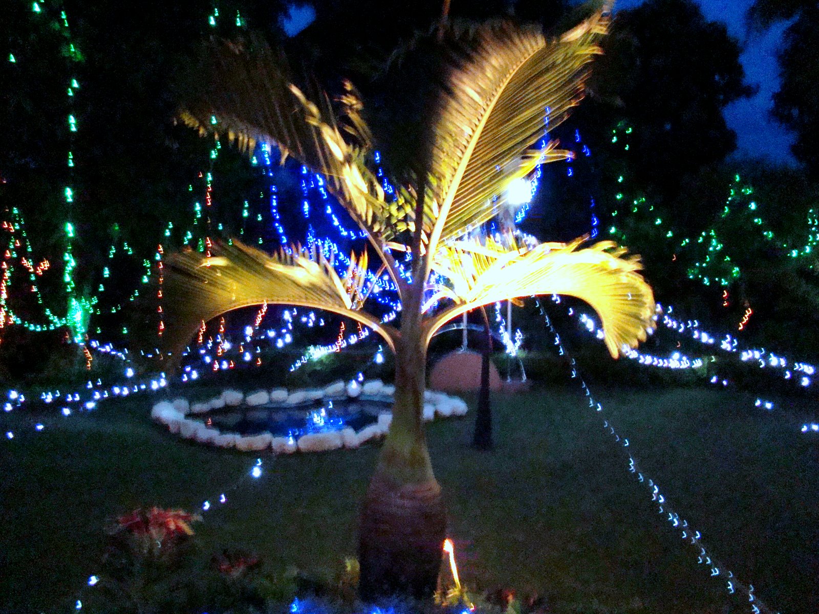 DiscoverSriLanka SRI LANKA NIGHT PHOTOGRAPHY [ CELEBRATION ]