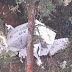 Begini Kondisi 3 Kru-Gambaran Medan Lokasi Jatuhnya Pesawat Rimbun Air