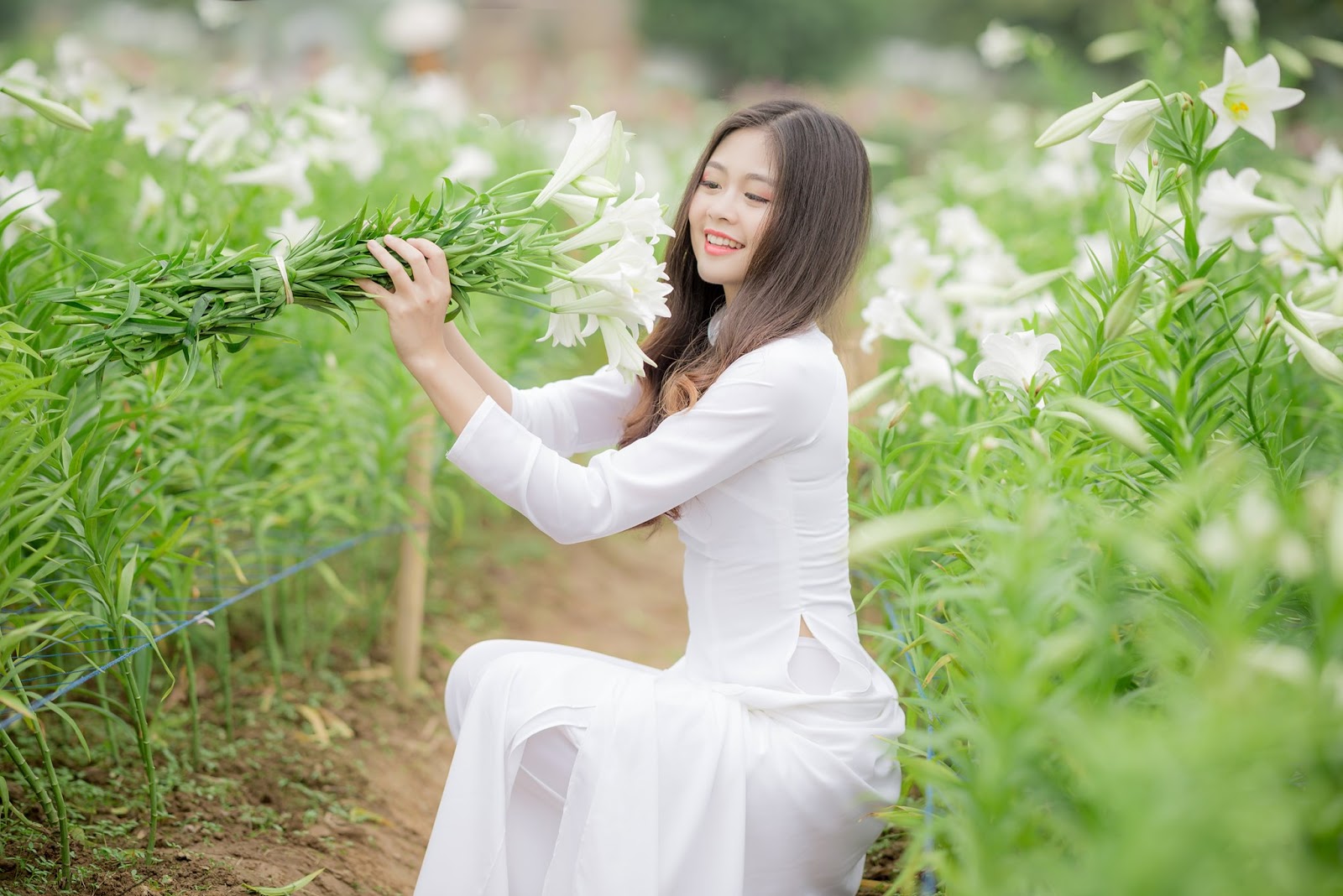 Vietnamese cute girl - Ao dai Vietnamese traditional dress