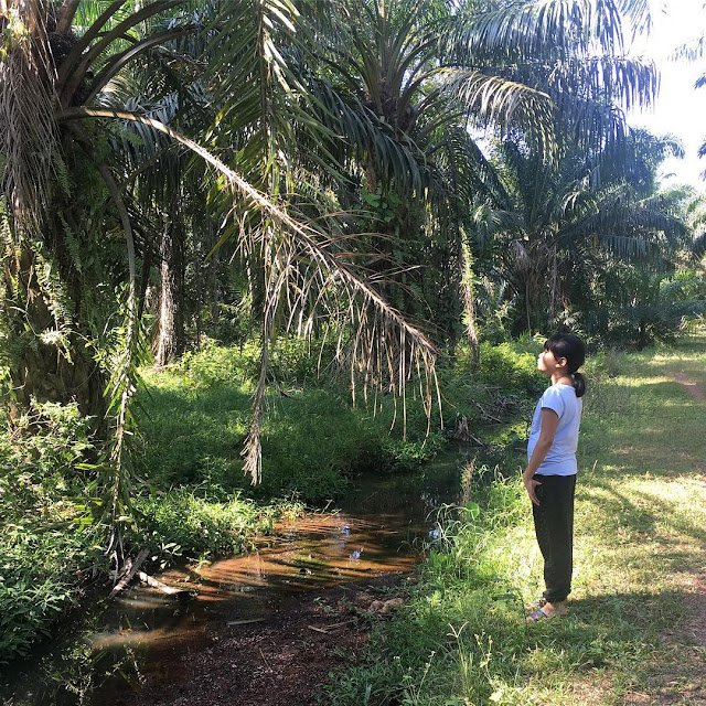 LittleSyam Kettle Stitch vs Coptic Stitch Binding