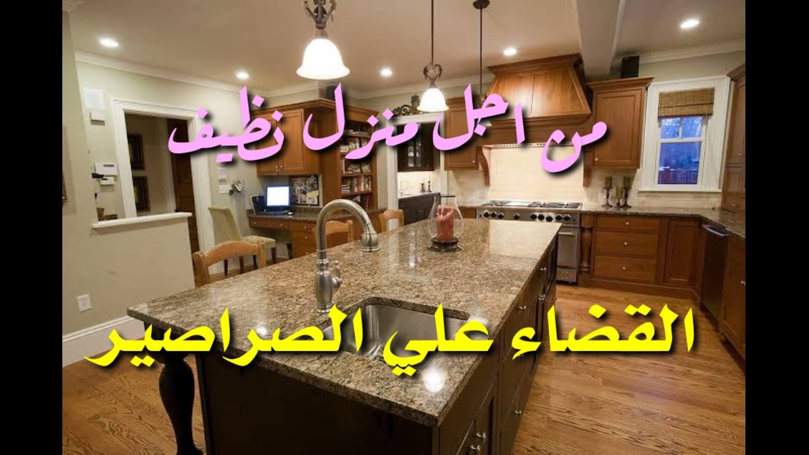 طرق القضاء علي الصراصير طرق القضاء علي الصراصير