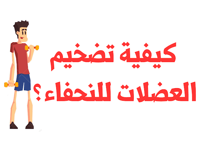 كيفية تضخيم العضلات للنحفاء ؟