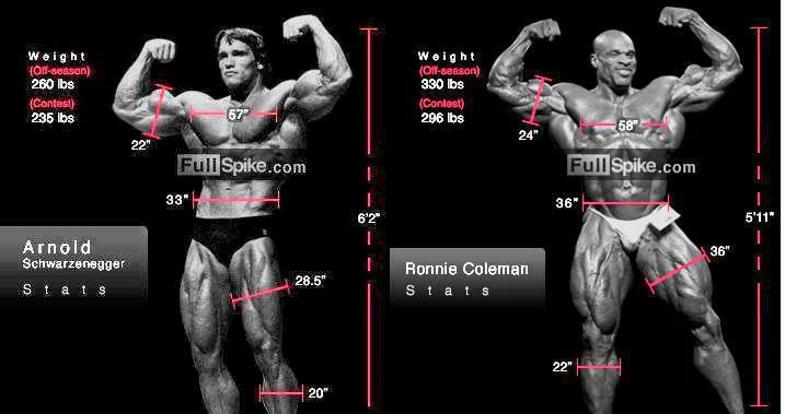 Arnold vs. Ronnie Side By Side Measurement Comparison : r/bodybuilding