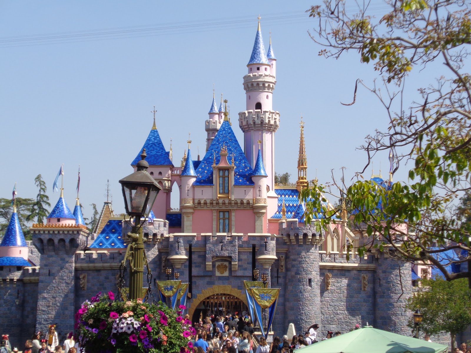 Thrifty Mom In Boise Disneyland!