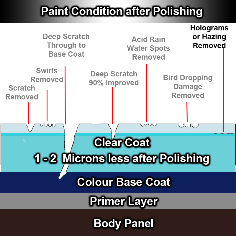 The Detailing Studio How Correction and Polishing Works