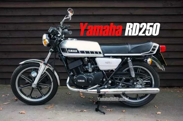 Retro Bike 1980 Yamaha RD250 F Pictures / Photos