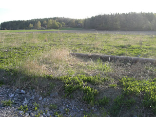 Morgonpromenad - Dagens morgonpromenad