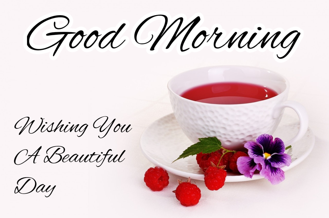 500+ Good Morning Images Download HD [2021] Beautiful & Lovely ...
