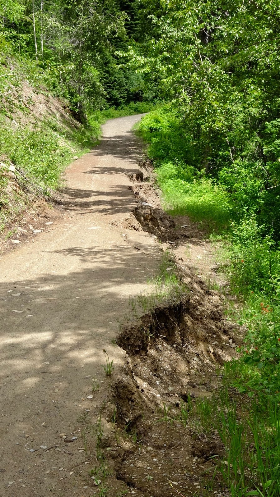 NewBlog McBride Peak Road Washout