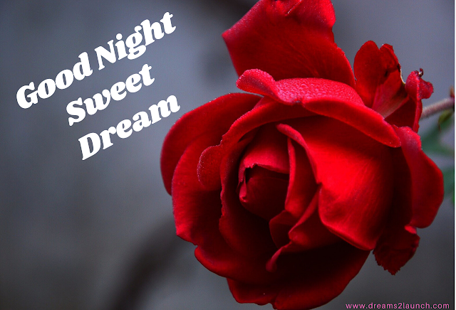 good night red rose