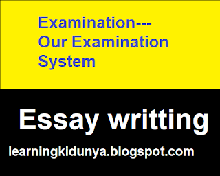 Examination---Our Examination System