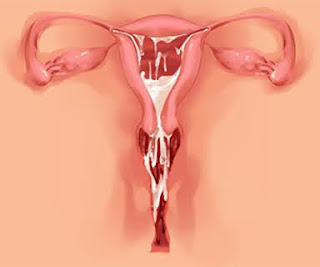 [CG] My Yandere Sister loves me too much!