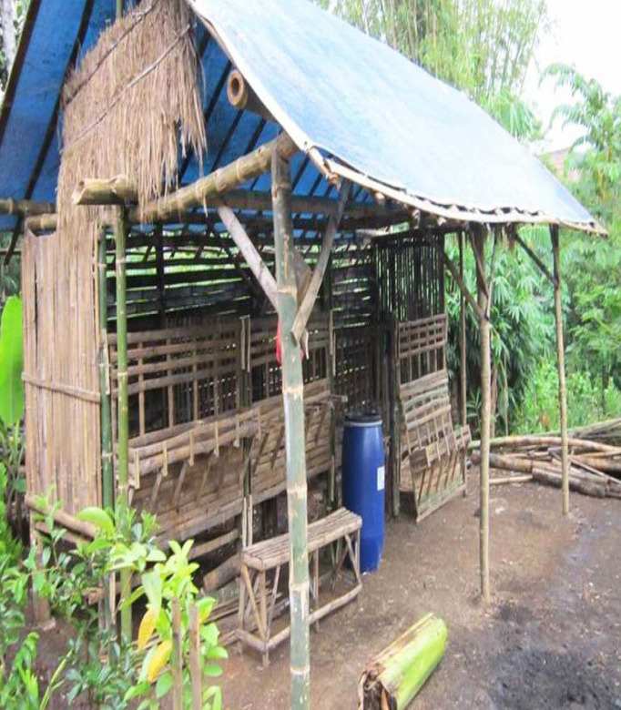 10 Contoh Gambar Kandang Kambing Sederhana Madani Farm Jogja