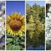 Top 10 good seasons images, greetings, pictures for Whatsapp and Facebook - bestwishespics