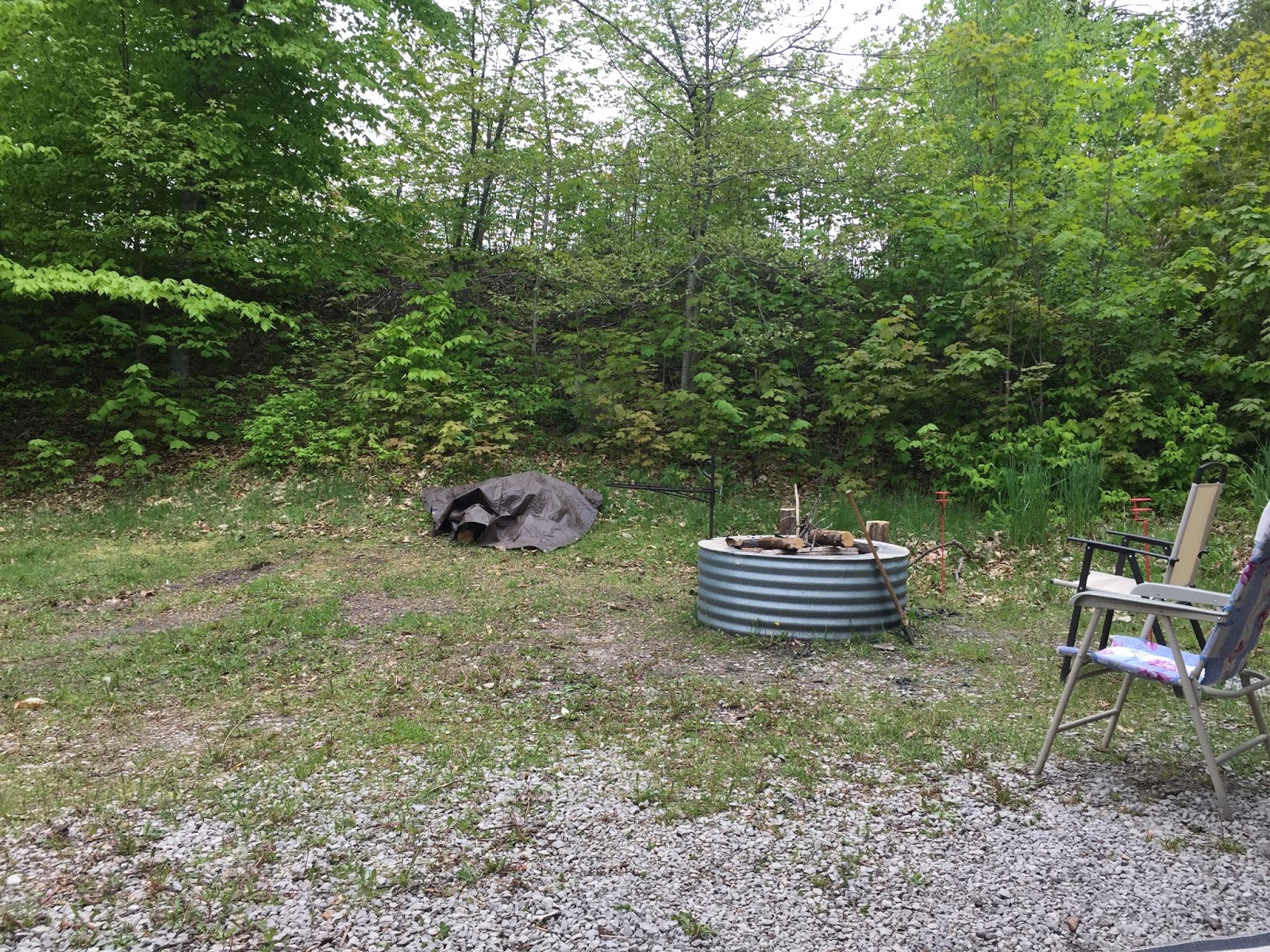 Travel Reviews & Information Rogers City, Michigan / P. H. Hoeft State