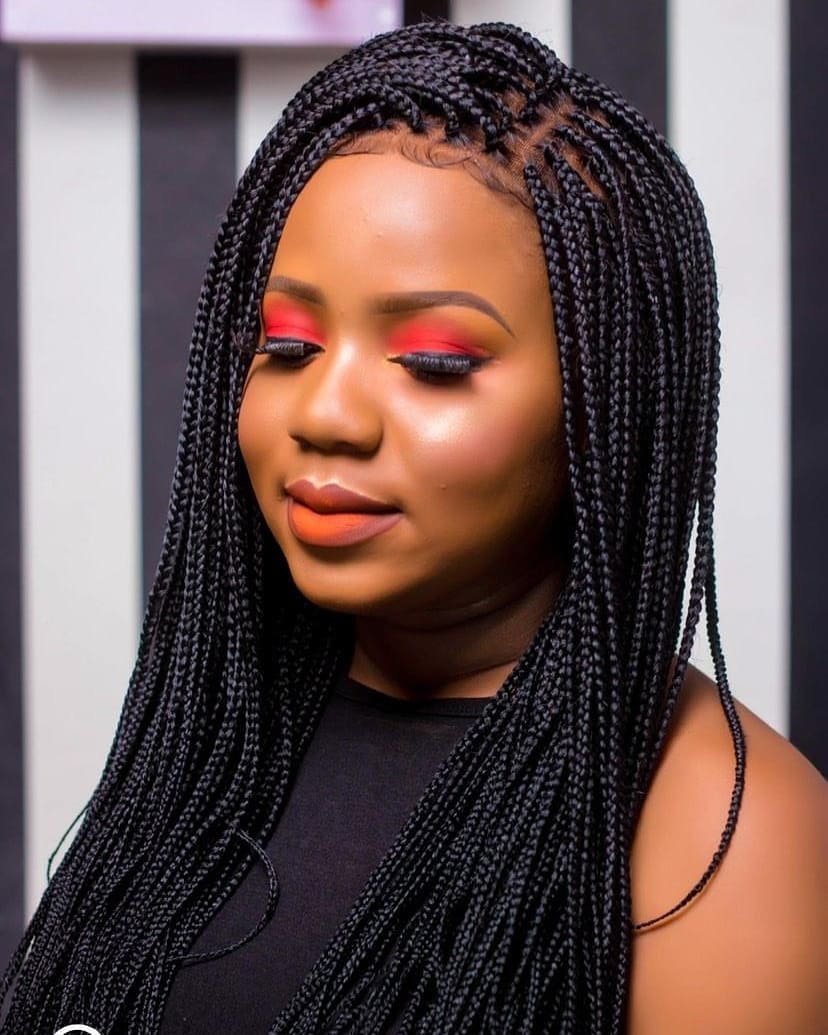 2020 New Braiding Hairstyles Latest Trending Hairstyles