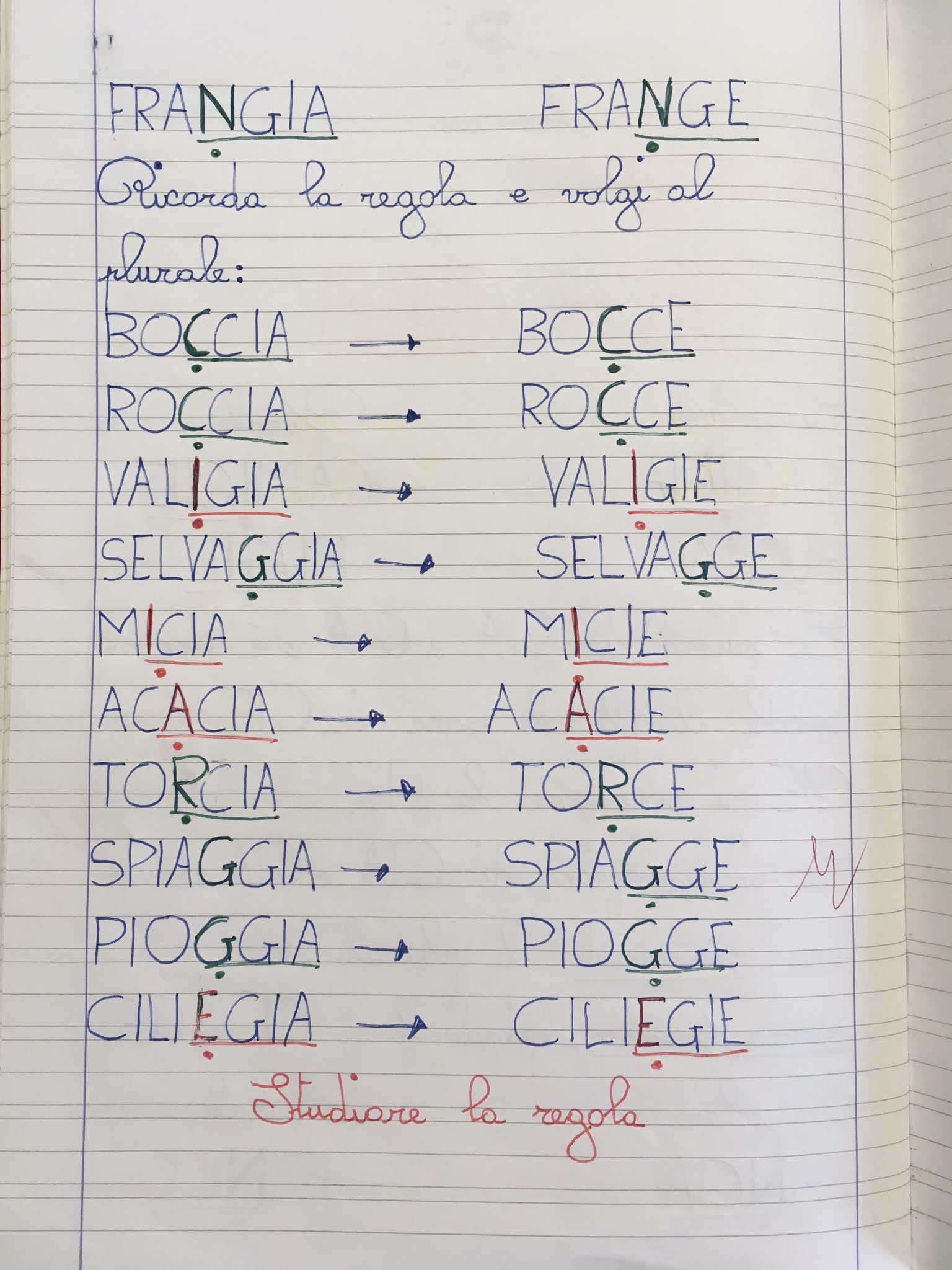 Boscofiorito Plurale di CIA e GIA