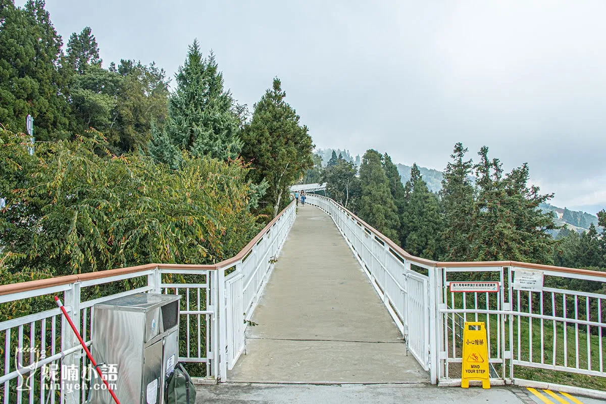 清境農場景點 清境高空景觀步道