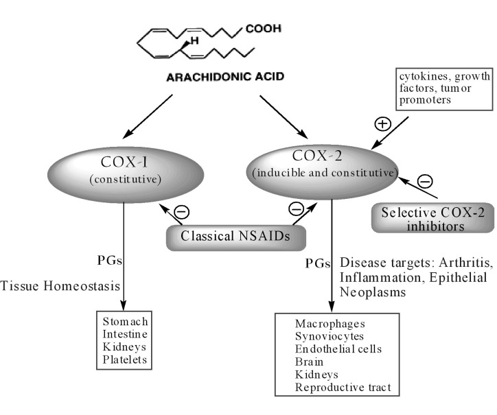 COX2 Inhibitor, Analgesik bagi penderita artritis dengan gangguan