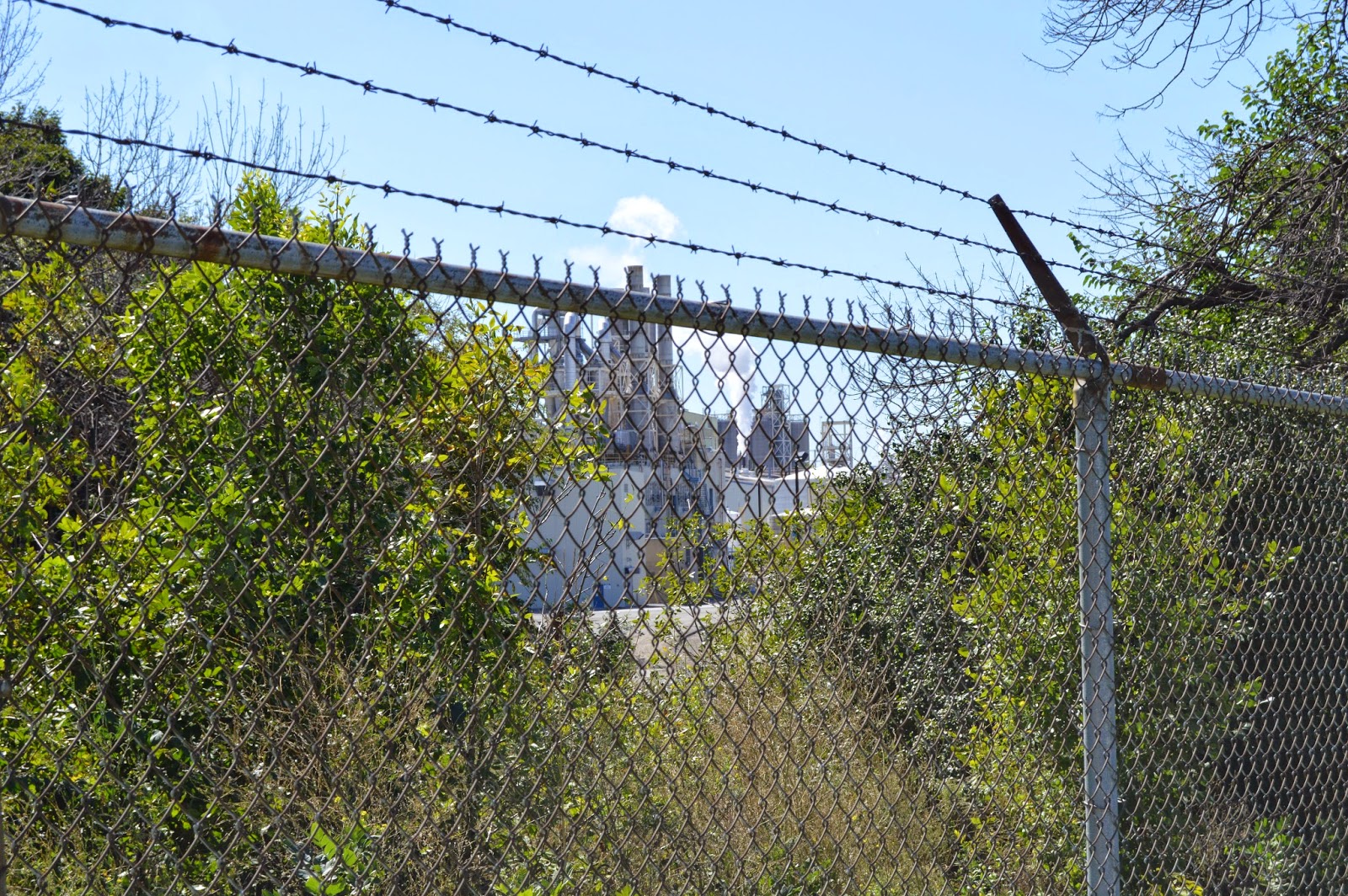 Industrial History Corn Products, now Ingredion