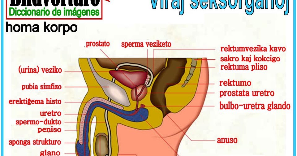 Îndepărtați papiloma irkutsk Dispozitive de comentarii de masaj de prostata