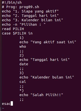 команда bin. Echo path windows. Bin sh build sh. Docker how to run container. Whoami l2.