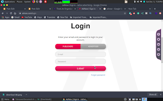 Step By Step Guide On How To Monetize Website With Adnow 4 Screenshot%2Bat%2B2020 12 05%2B19 23 51 Step By Step Guide On How To Monetize Website With Adnow