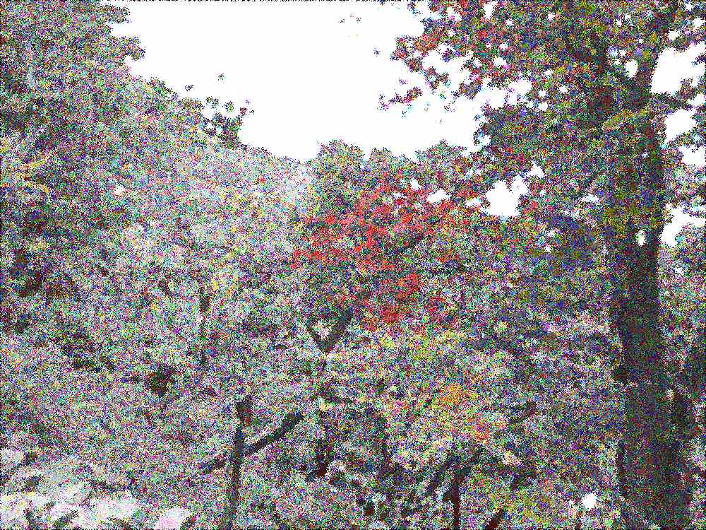 예산 덕숭산 수덕사 예산 덕숭산 수덕사