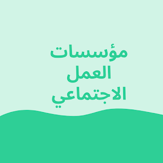 مؤسسات العمل الاجتماعي