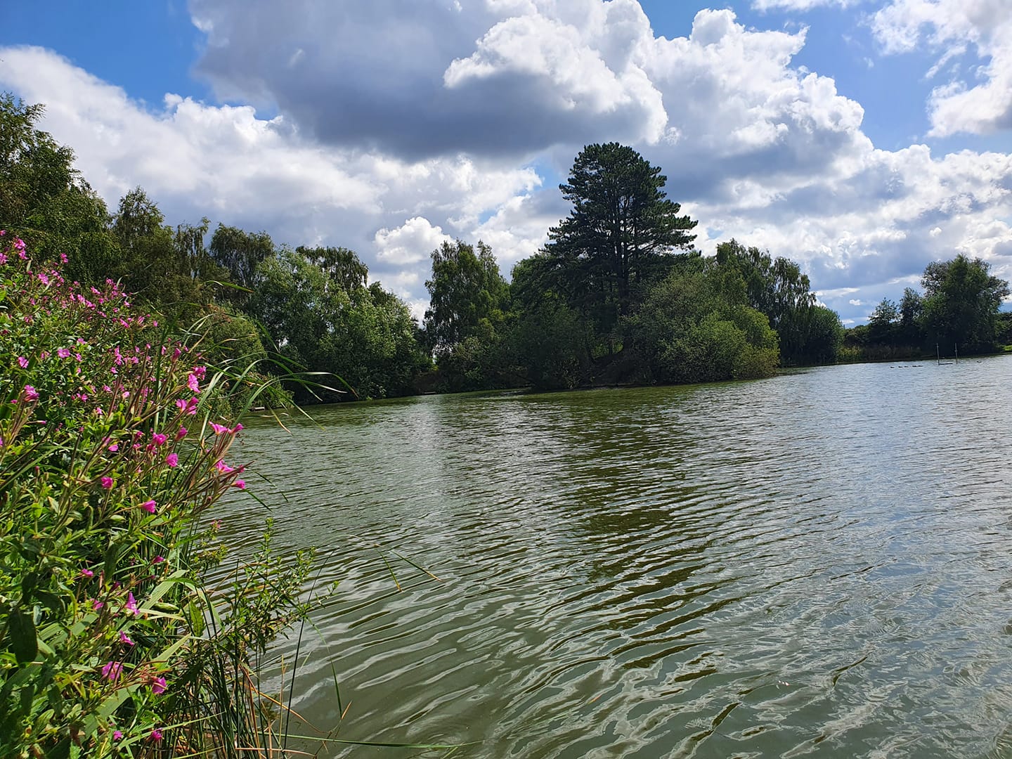UK fishing venues Lodge Farm (Top Pond) Venue Review