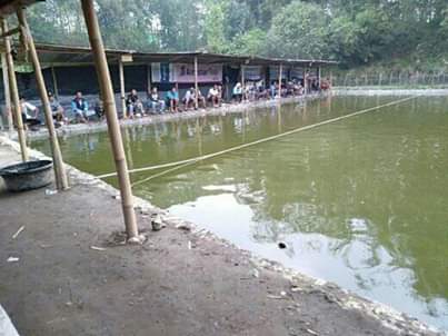 Galatama Lele Nova Otp November 2019