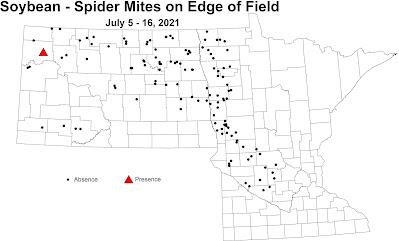 Map of presence/absence of spider mites in soybean fields in Minnesota and North Dakota