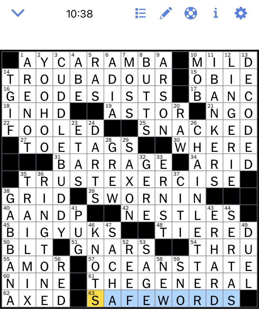 The New York Times Crossword Puzzle Solved November 2020