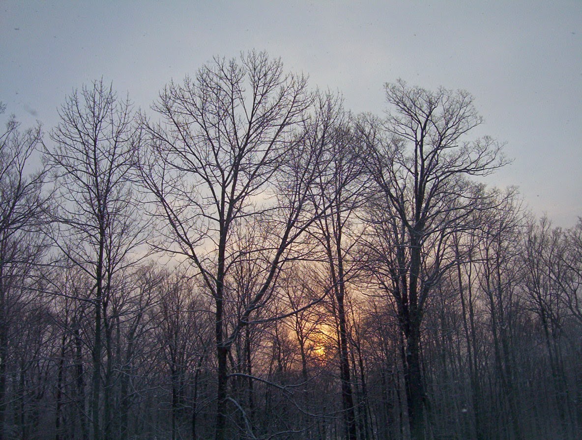 Getting Outside During Stick Season