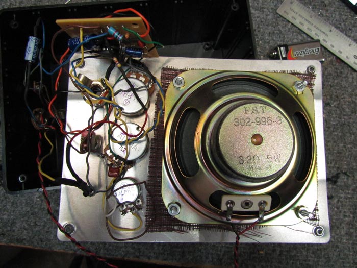 Noisy Cricket Amp Build Done It "Amp 386" Crawls Backward
