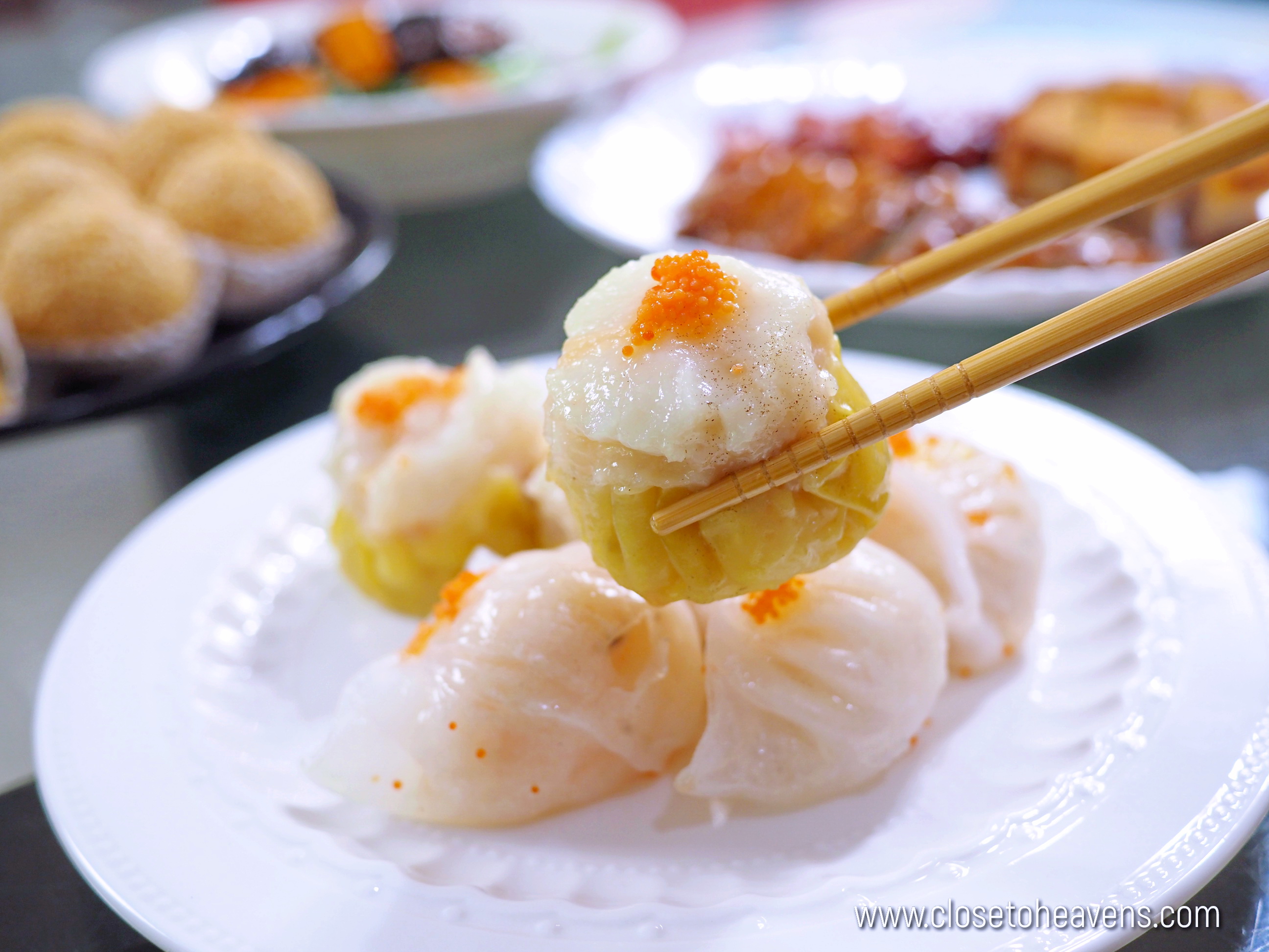 Steamed Scallop Siew Mai